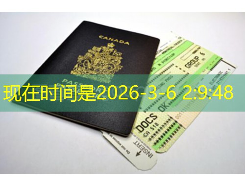 汉德欧移民官网：深耕移民服务13年，以专业铸就行业标杆